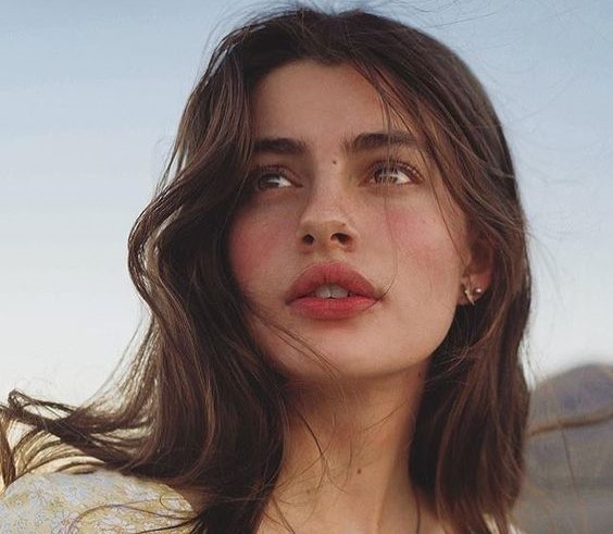 ใบหน้าศัลยกรรม