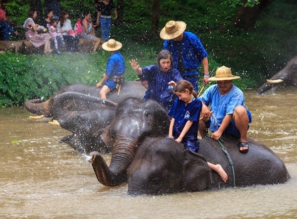 ศูนย์อนุรักษ์ช้างไทย จังหวัดลำปาง
