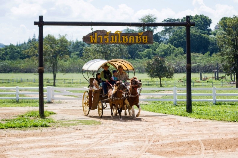 ฟาร์มโชคชัย นครราชสีมา