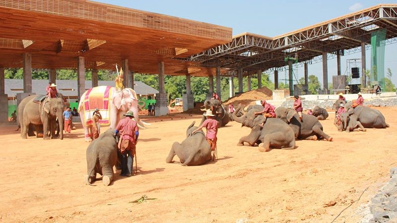 หมู่บ้านช้าง บ้านตากลาง จังหวัดสุรินทร์