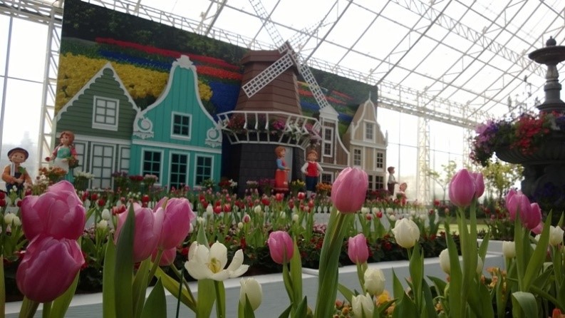 อุทยานไม้ดอก เพลาเพลิน บุรีรัมย์