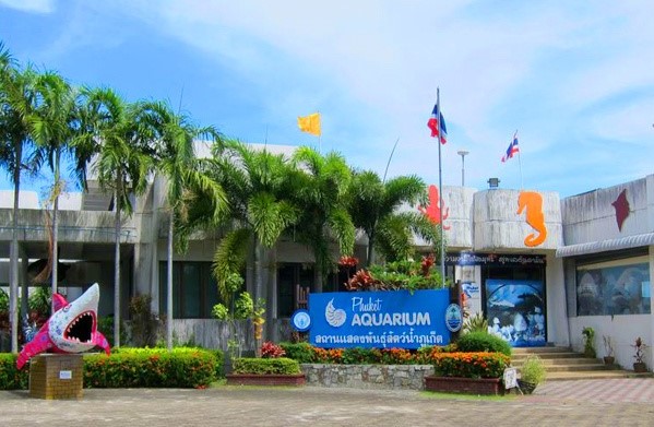 Phuket Aquarium จังหวัดภูเก็ต