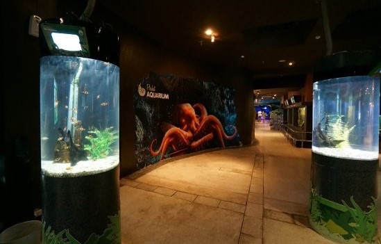 Phuket Aquarium ภูเก็ต