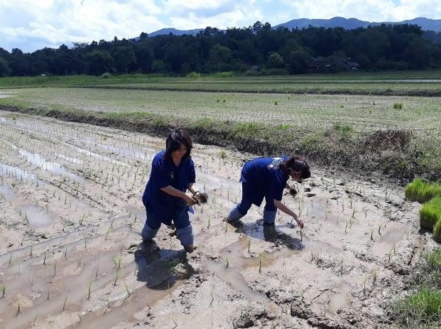 ไร่ของคุณขวัญชนก และคุณเชษฐกานต์ เหล่าสุนทร แมคนีน่าฟาร์ม
