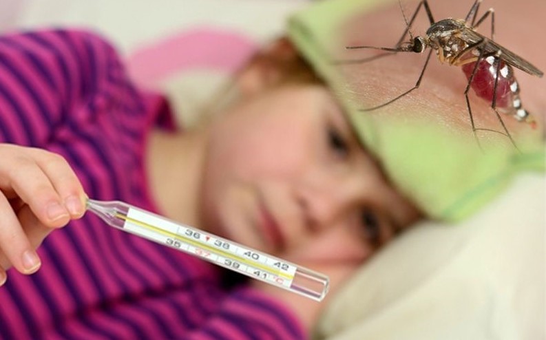 โรคฮิตในเด็ก