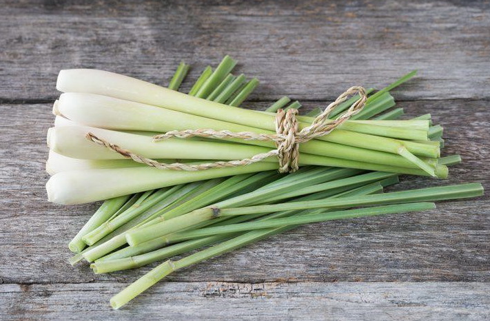 12 ตะไคร้