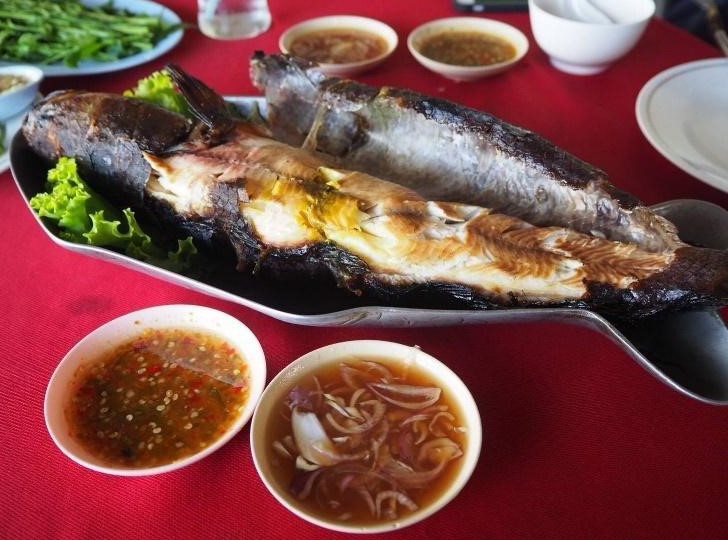 18 ปลาช่อนแม่ลา จังหวัดสิงห์บุรี