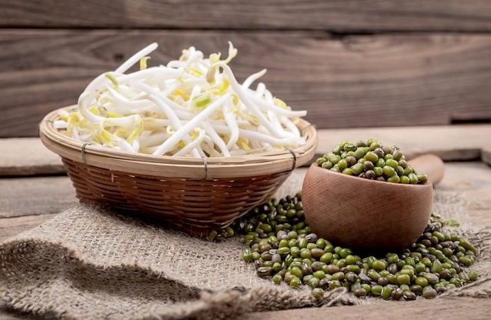 4 ถั่วงอก