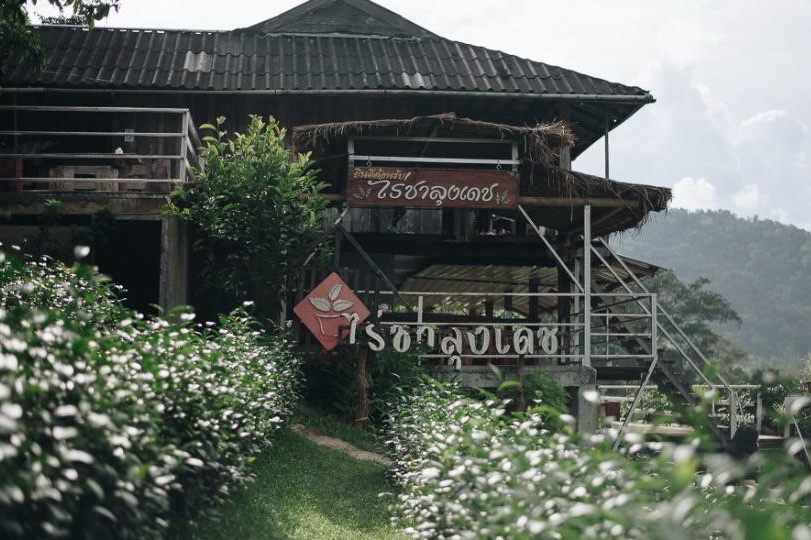 7 ไร่ชาลุงเดช
